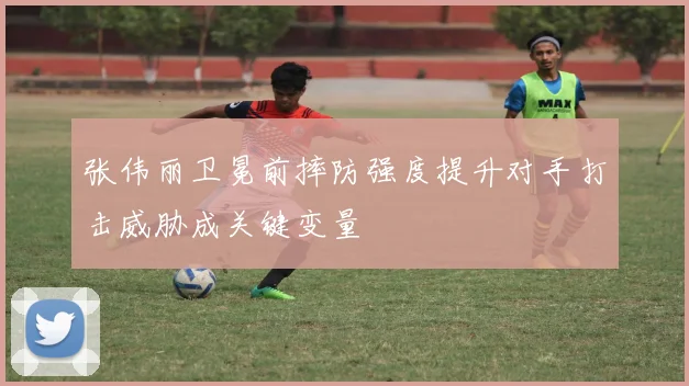 张伟丽卫冕前摔防强度提升对手打击威胁成关键变量